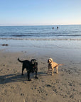 Beach Clean Rectangle Pet Feeding Mat