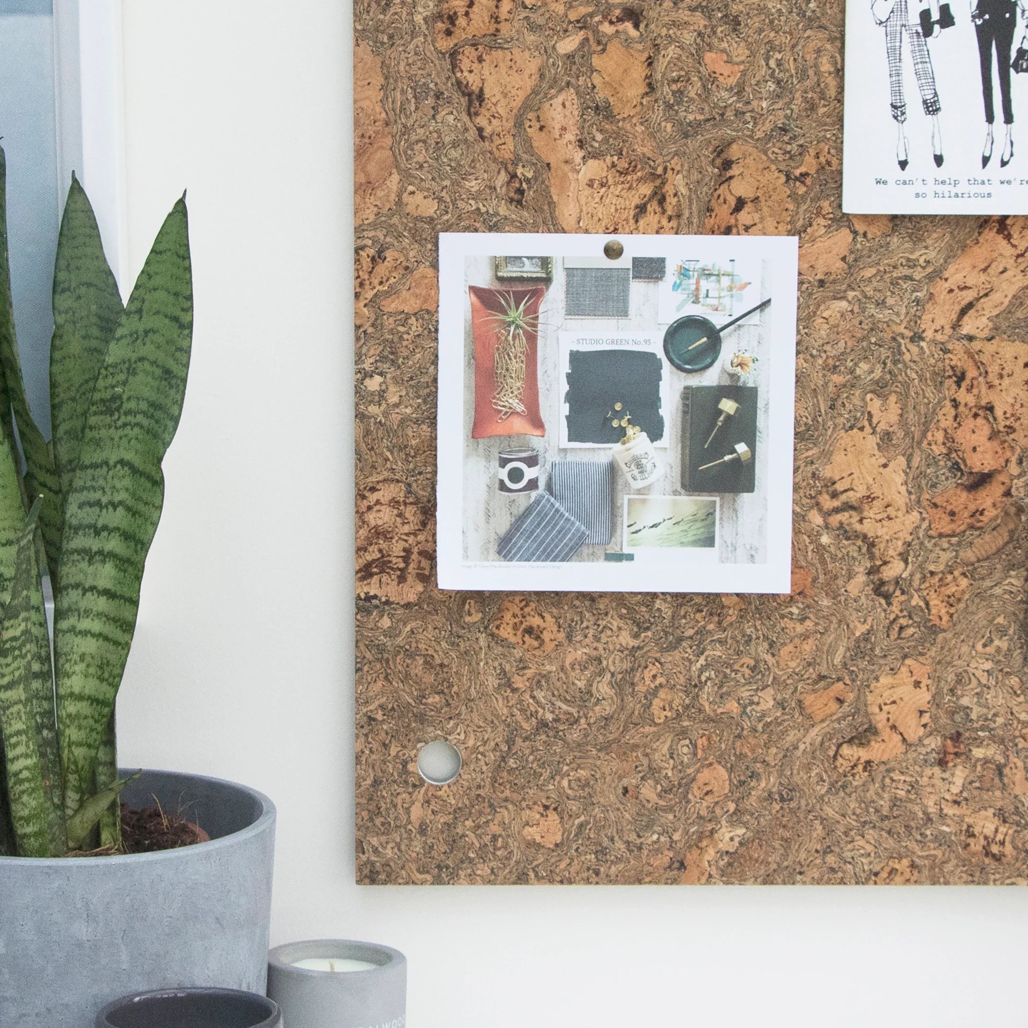 Cork Notice Board | Large