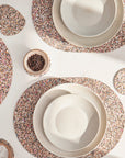 Beach Clean Placemats | Oval Set of 4