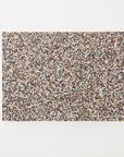Beach Clean MAX Placemats | Rectangle Set of 4