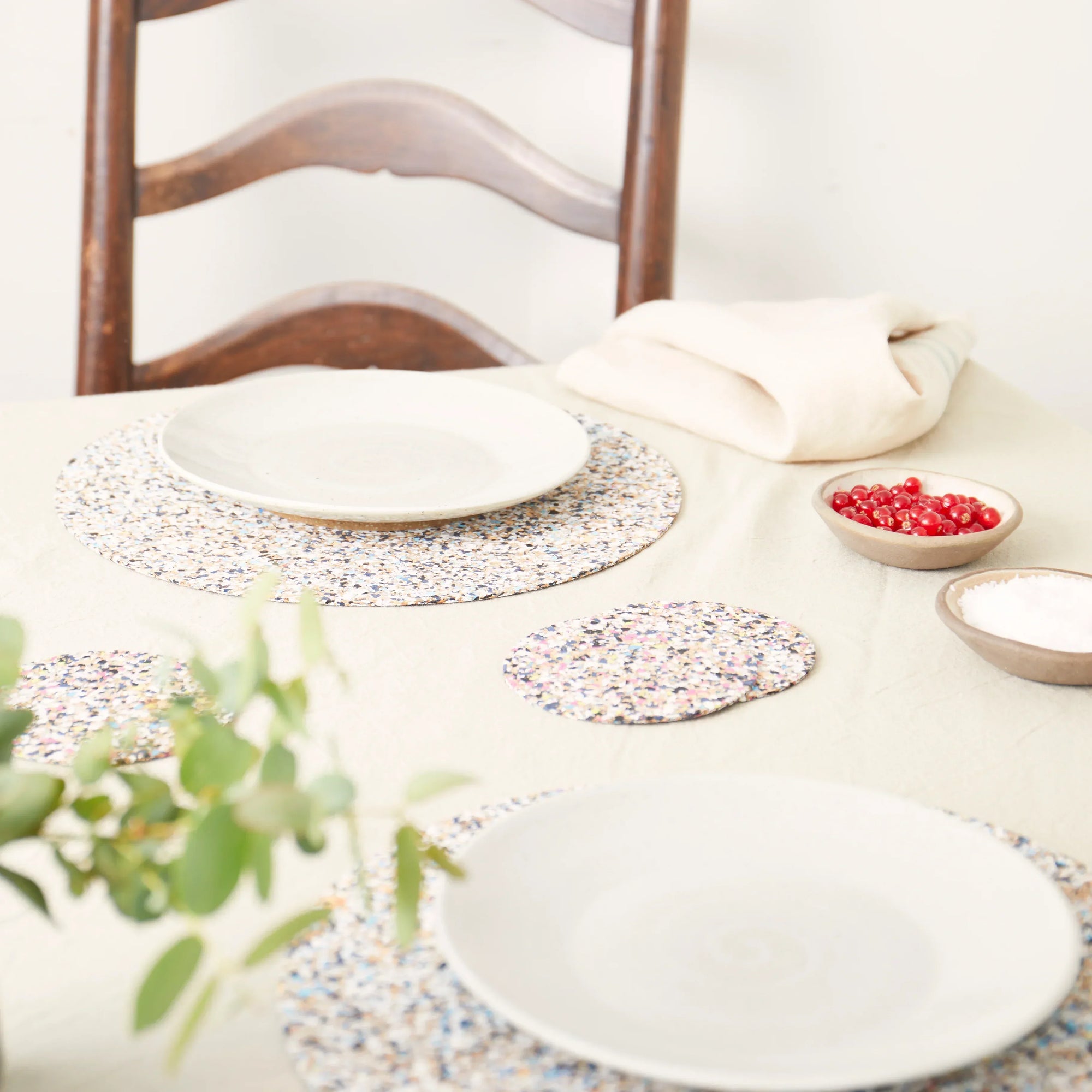 Beach Clean Placemats | Round Set of 4