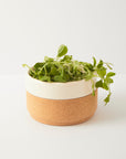 Ceramic Gift Set | Mug and Bowl in Cream