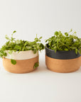 Ceramic Gift Set | Mug and Bowl in Cream