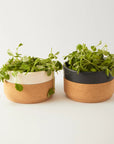 Breakfast Gift Set for Two