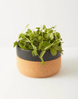 Ceramic and Cork Bowl - Black