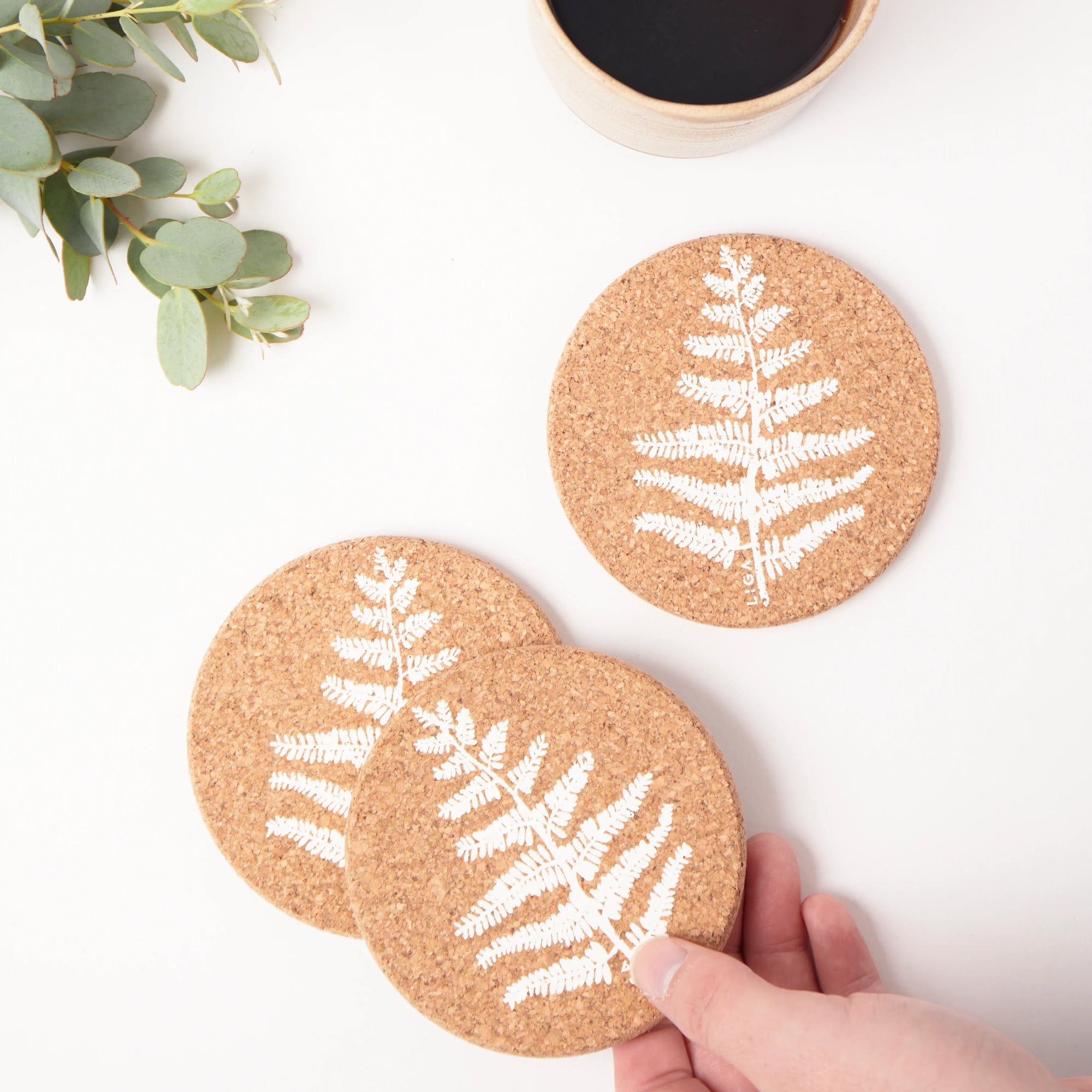 Cork Coasters | Fern
