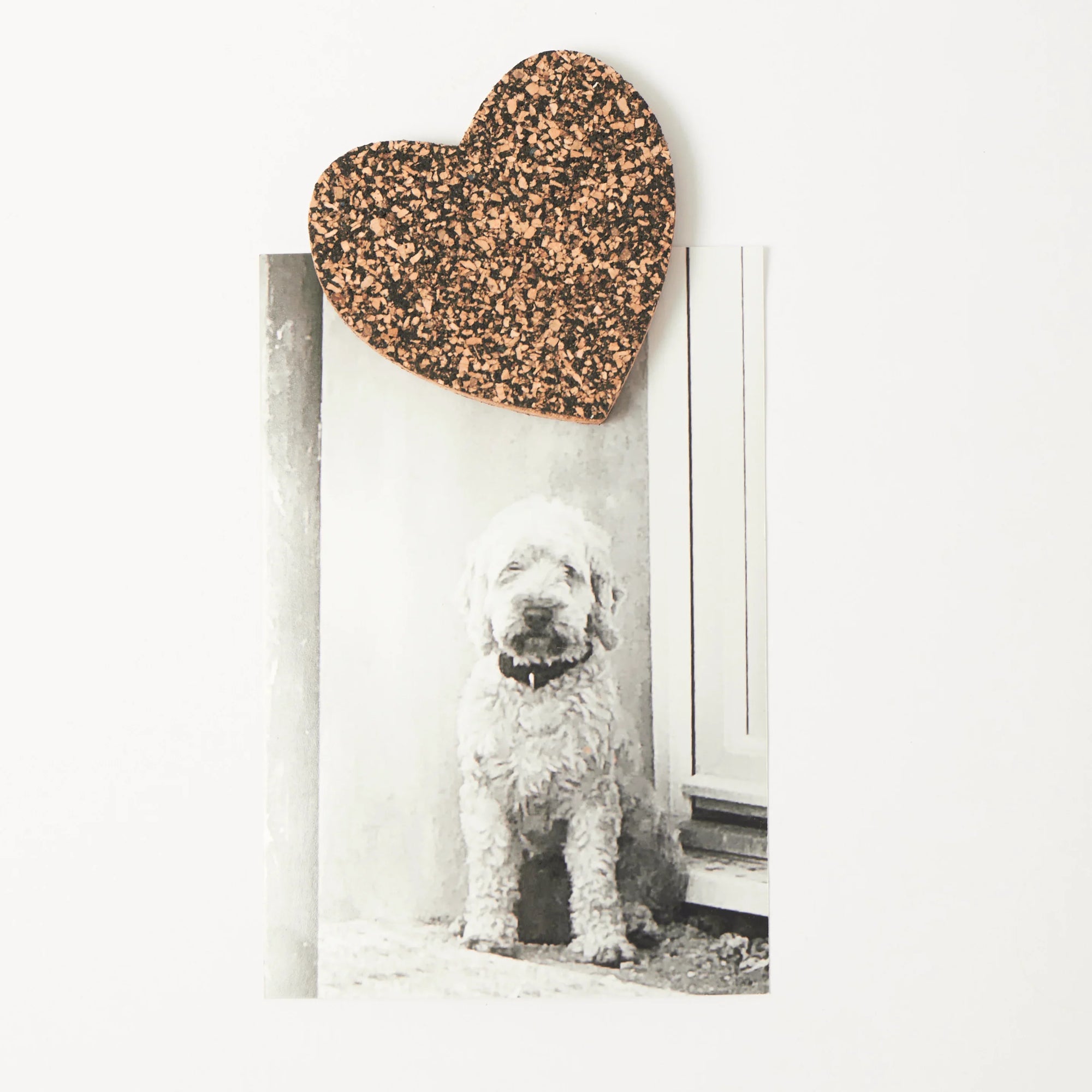 Organic Magnet | Dash Heart