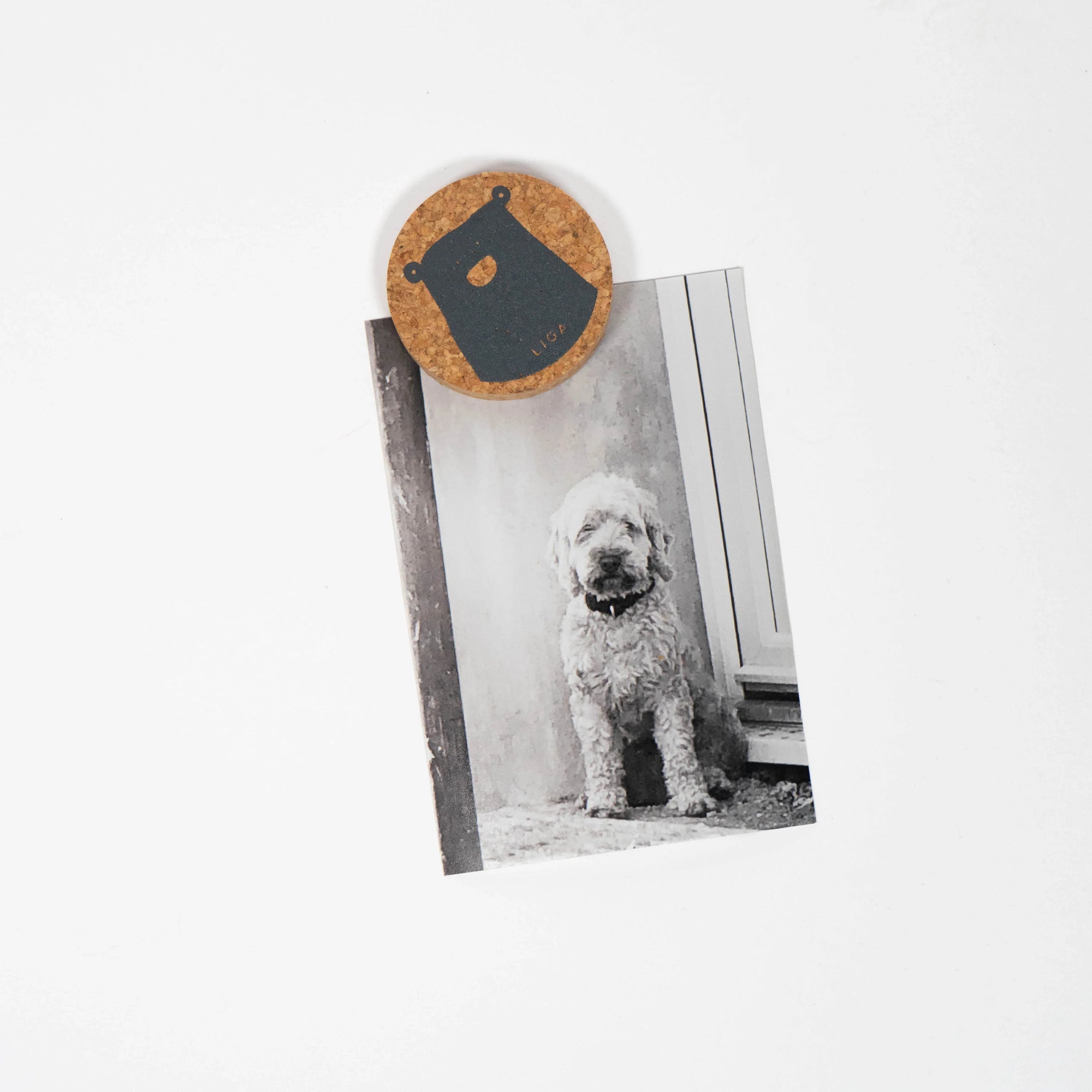 Round Organic Magnet | Bear