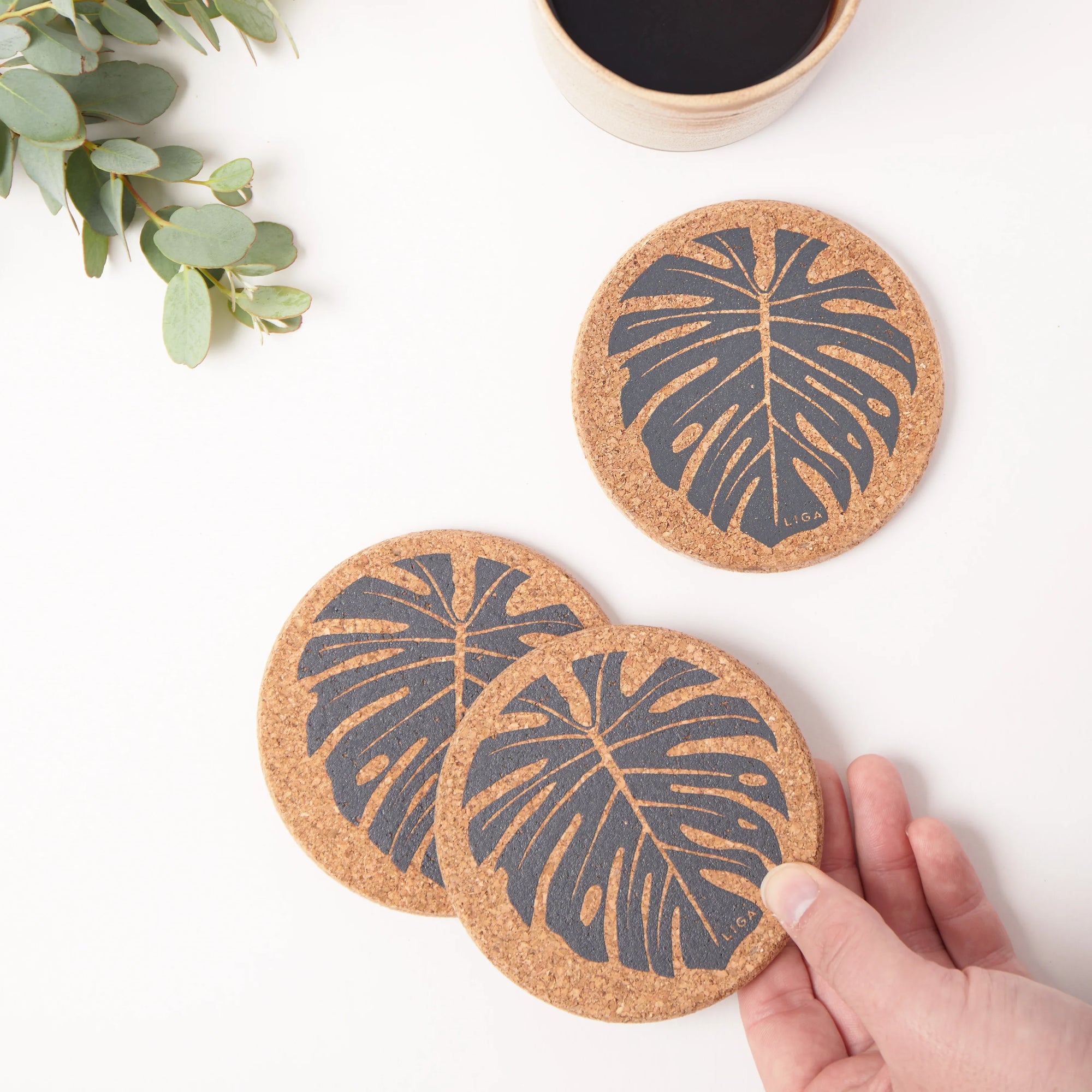Cork Coasters | Monstera