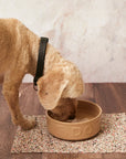 Beach Clean Rectangle Pet Feeding Mat