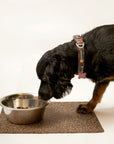 Dash Max Rectangle Pet Feeding Mat