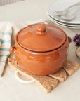 Natural Cork 3 Fish Trivet