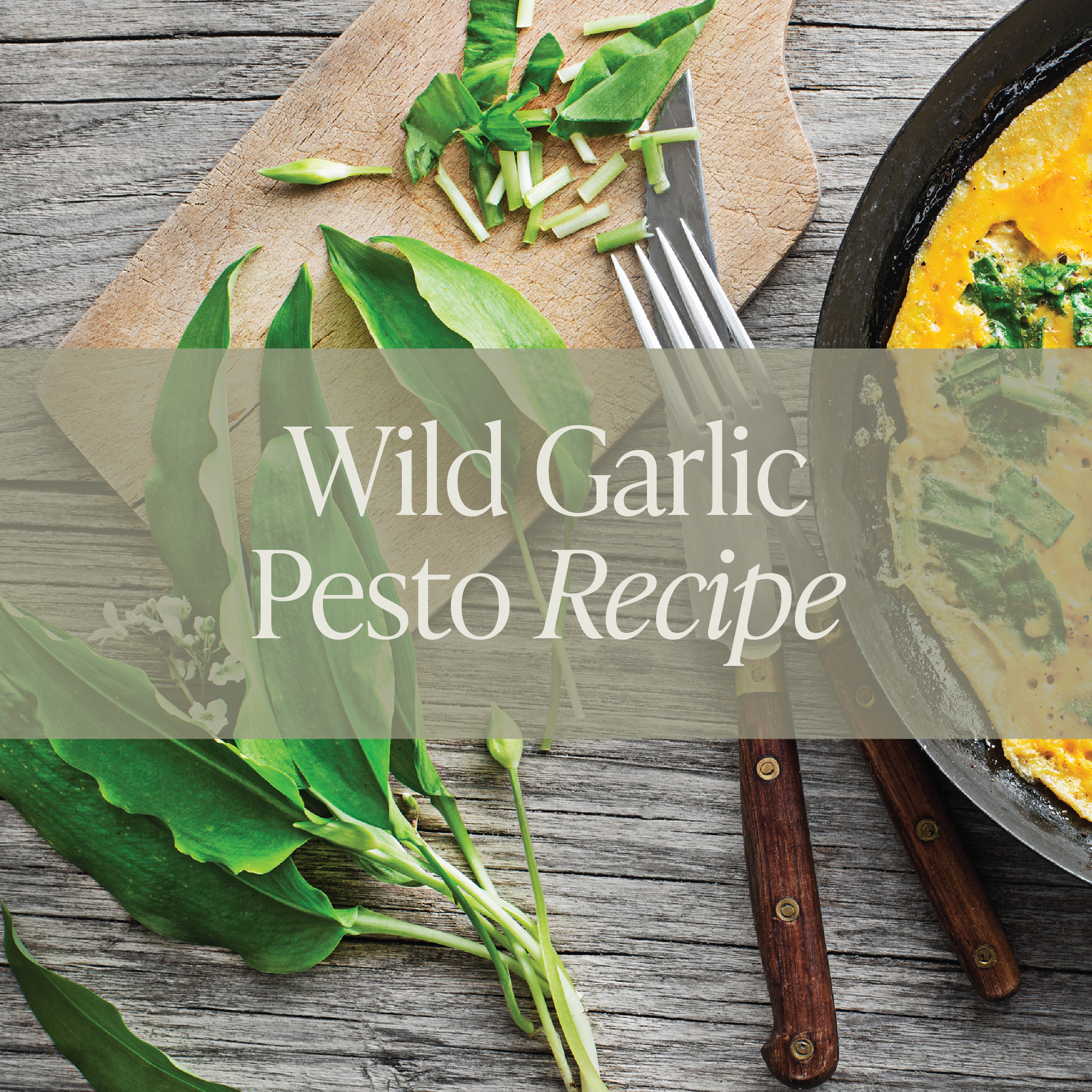 Wild Garlic Pesto Recipe