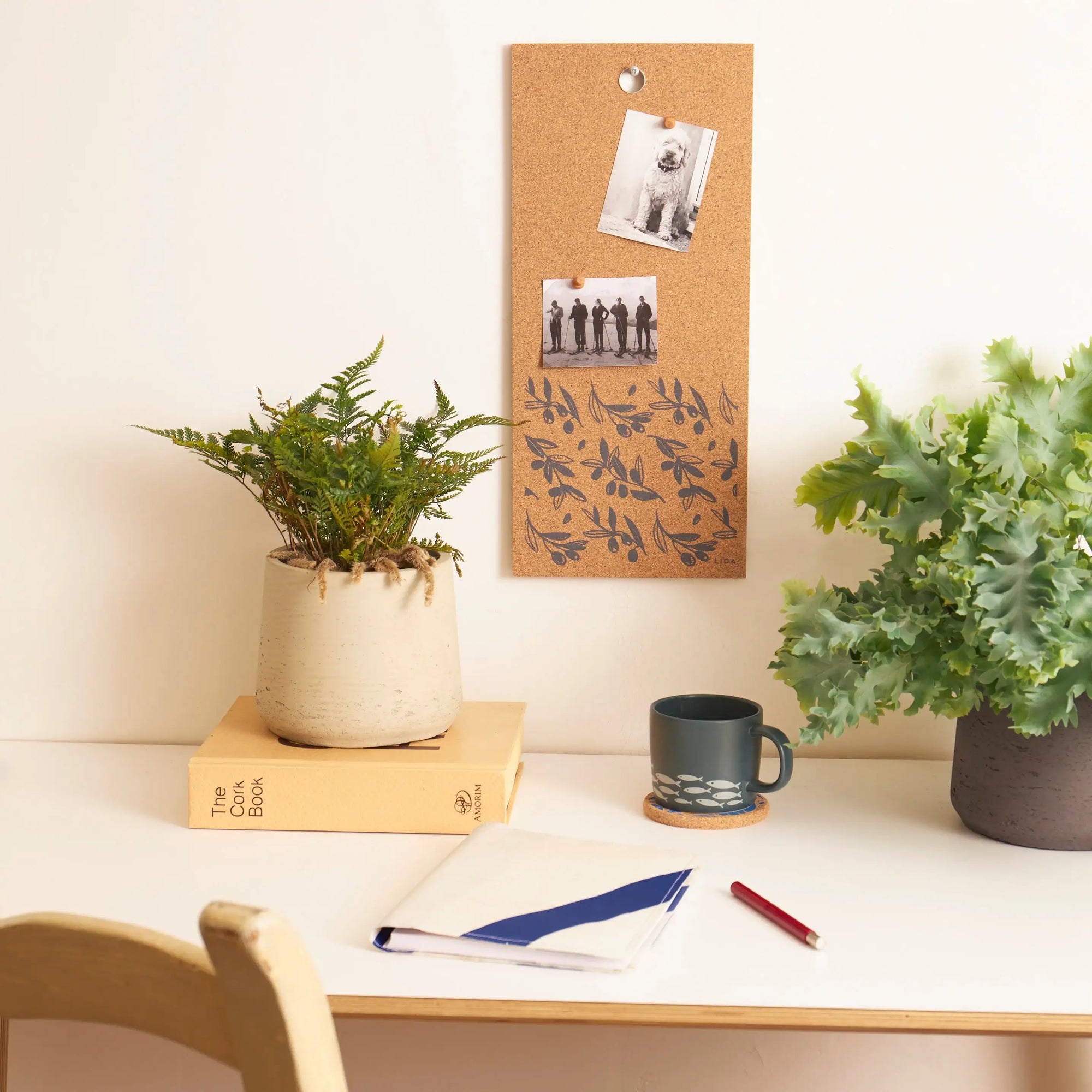 Cork Memo Boards
