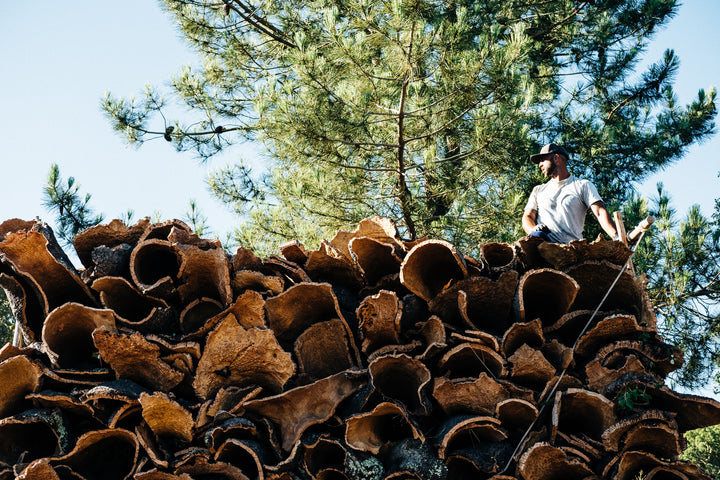 Harvesting eco cork in Portugal.