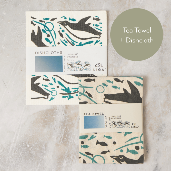 Tea Towel and matching Dishcloths | Swimming Penguin
