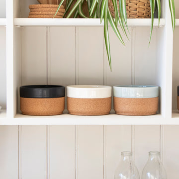 Eco Bowl | Medium